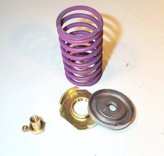 JCI V-3754-6010 SPRING KIT 3-6# FOR VLV W/5 IN STROKE